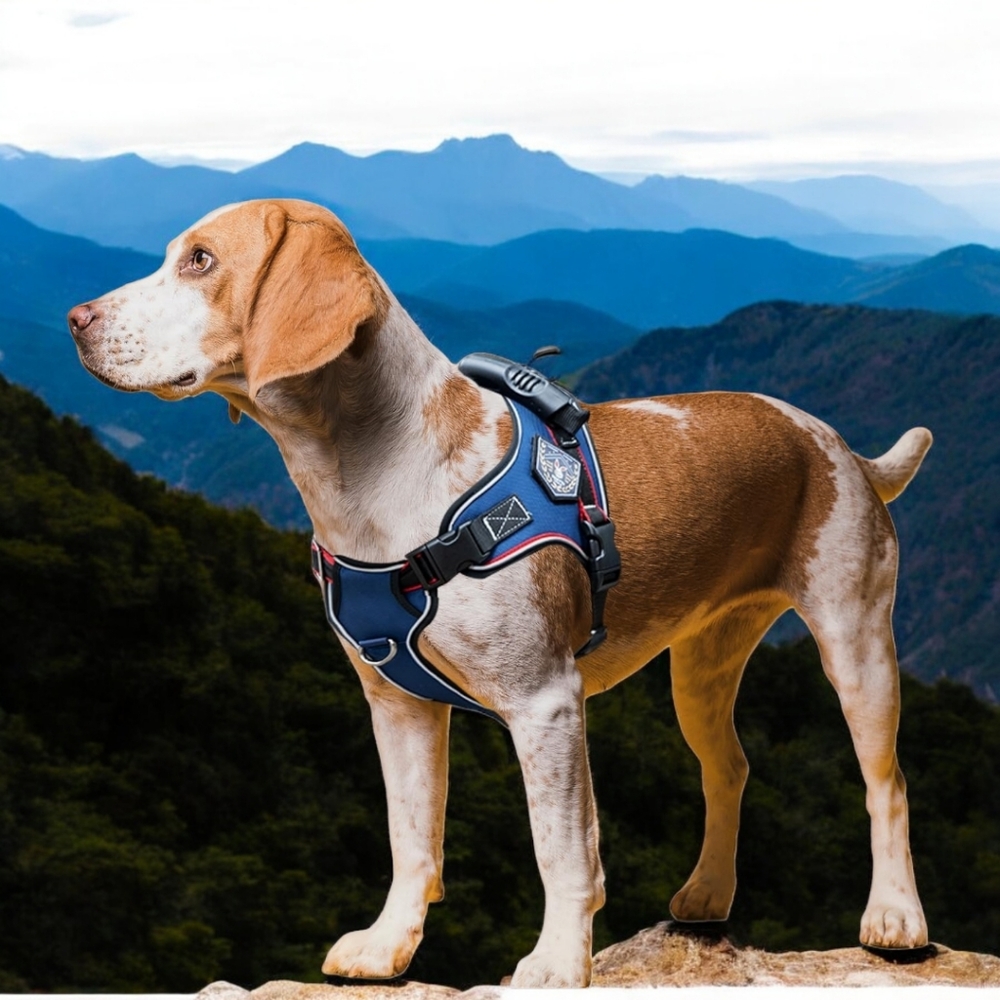Wakytu Dog No Pull Harness and Leash Set with Handle, New